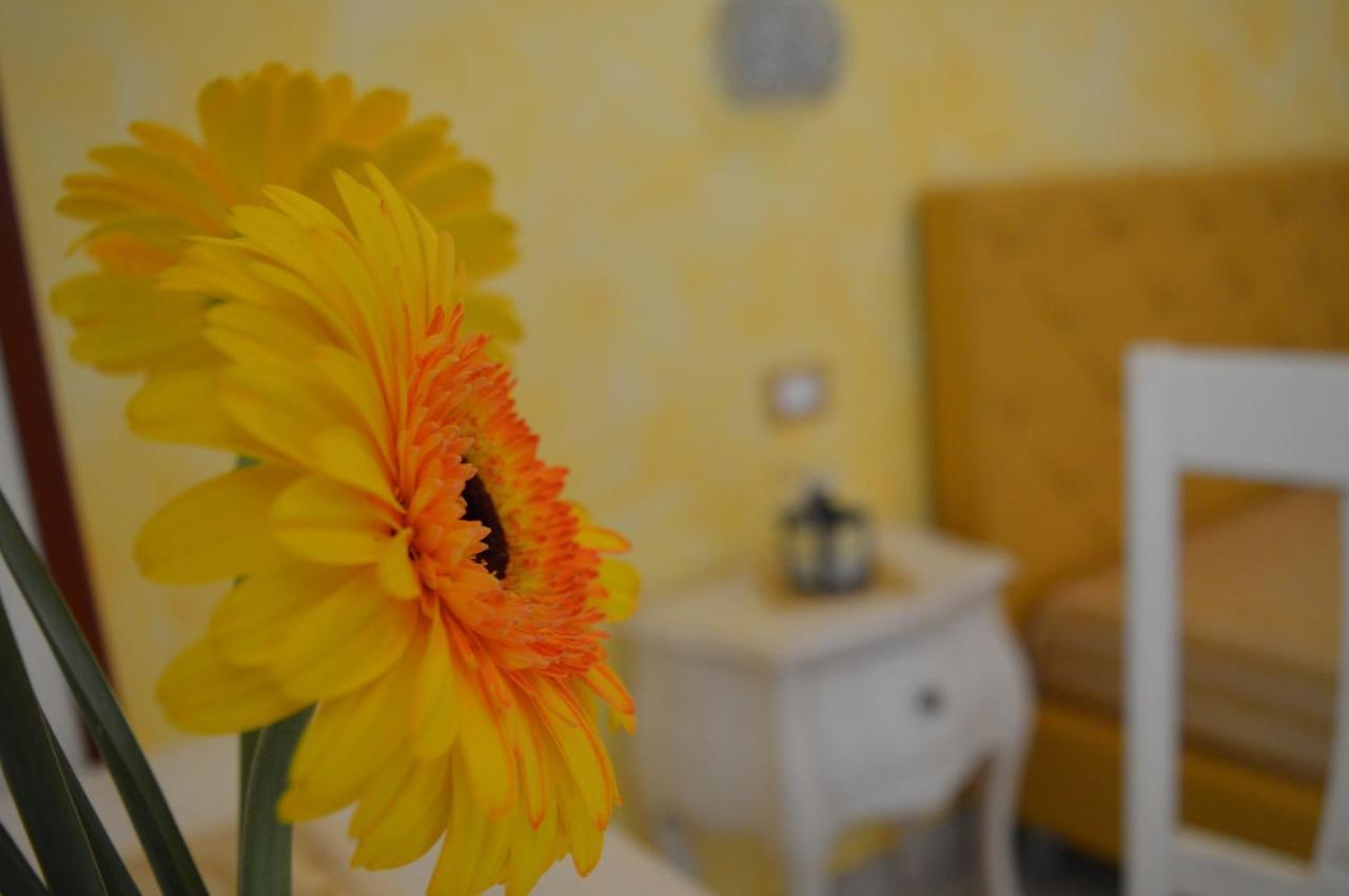 Tally B&B Salve Kültér fotó